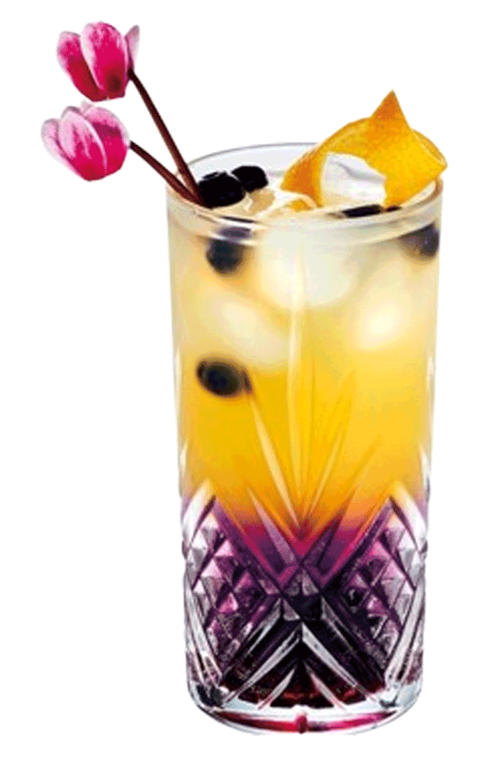 Broadway Hi Ball 38cl