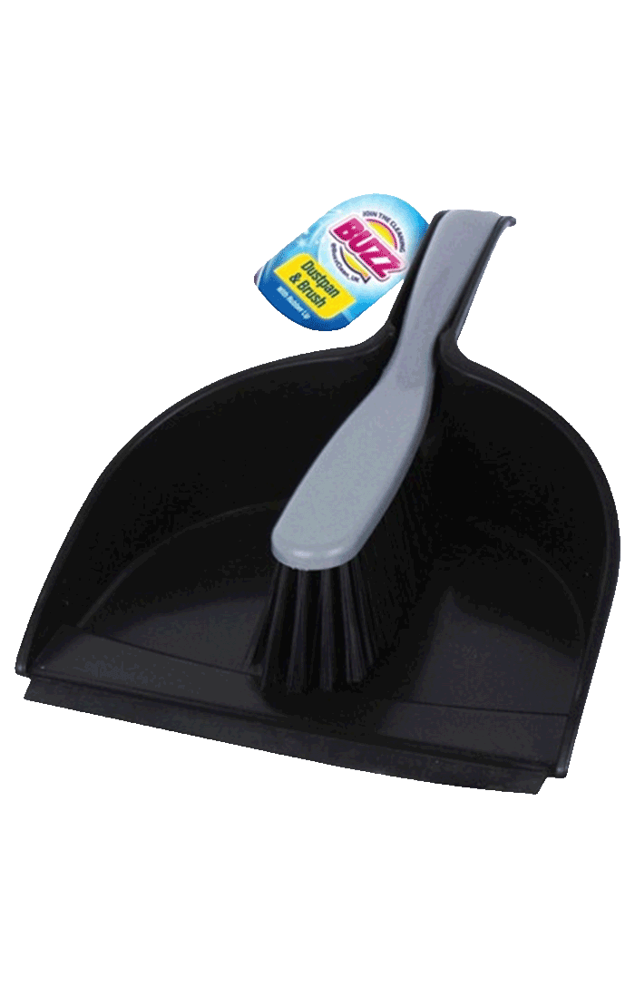Dustpan and Brush Set